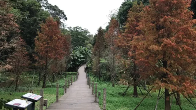 27747429_1732595933470024_8618466673569775749_o